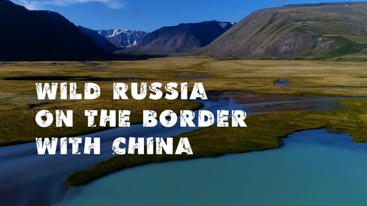 Алтайское горловое пение. Полёт над горами Алтая (УКОК) Алтайские горные бараны. Табын-Богдо-Ула смотреть онлайн