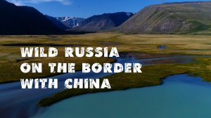 Алтайское горловое пение. Полёт над горами Алтая (УКОК) Алтайские горные бараны. Табын-Богдо-Ула