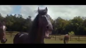 Прикол сын спрашивает отца где ты будешь жить когда я вырасту