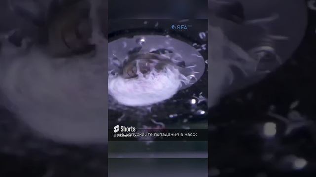 Канализационный насос для кафе, бара и ресторана от SFA смотреть онлайн