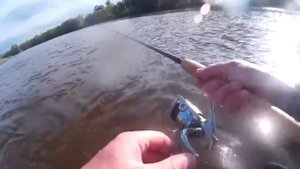 Отводной поводок. Ловля ОКУНЯ