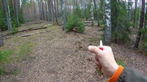 Рамка биолокационная, примеры и практика