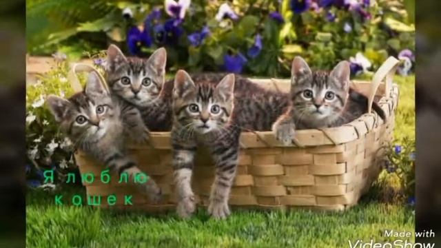 10 фактов обо мне смотреть онлайн