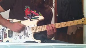 Zwitter (Rammstein) How to play guitar cover (D)