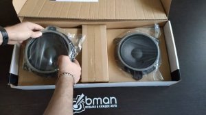 Focal IS 165 TOY