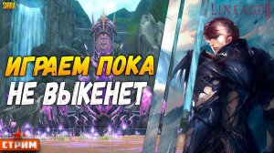 Lineage 2 Main Сервер Sirra ⚔ Играем пока не выкинет ⚔