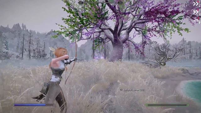 Skyrim Boss Showcase: Poi Tree's Spriggan смотреть онлайн