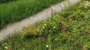 Помог Вытащить Автомобиль .  Коп Металла #35