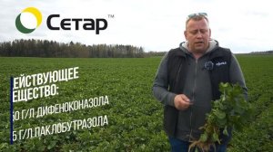 Озимый рапс. Особенности подкормки. Немного о росторегуляции и севе.