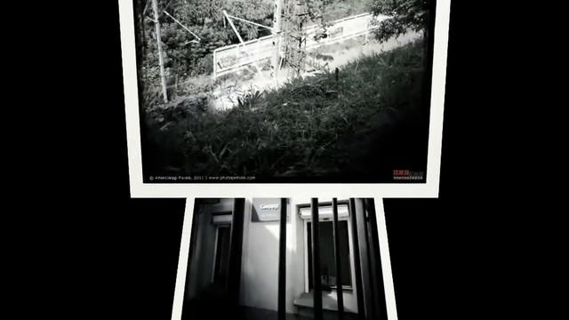 14 ИЮЛЯ, Четверг - День 21 • Всё они - любимые / ПИНХОЛ смотреть онлайн