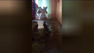 озеро Воже. Небывалое наводнение, Дома затопило, некоторые дома снесло.