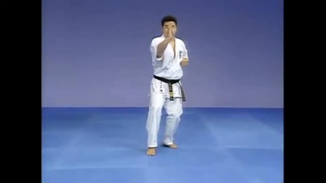 Ката Янцу Киокушинкай (Yantsy Kyokushinkai)