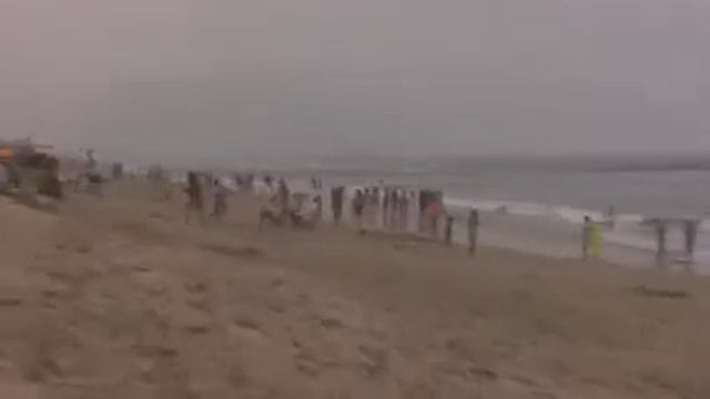 Magnolia St. HB CA ONE PORTAGEE ONE HAWAIIAN AN DA HAOLE смотреть онлайн