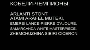 РОССИЯ 2009, БОЛЬШИЕ ПУДЕЛИ, КОБЕЛИ