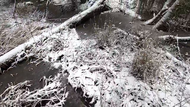 #1. Загонная ОХОТА. ПЕРВЫЙ СНЕГ. 13 декабря 2020г. смотреть онлайн