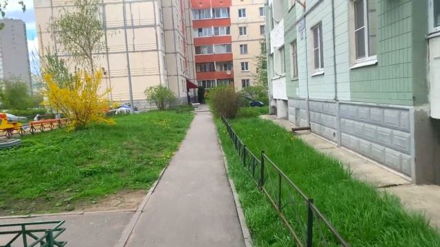 Красивые Шушары | Идеальное место для жизни?