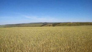 По области. Часть 3 - Урочище Большое Куроедово