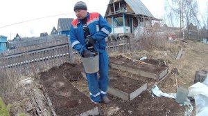 Растим ранний картофель на севере