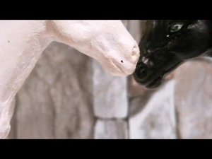 Новогодний адвент-календарь. День 6. Буран и Закария. Контракт хранителя. (Перезалив)