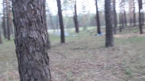 СТРОИМ ЗЕМЛЯНКУ В СОСНОВОМ ЛЕСУ С Виталий Зеленый!КАК ПОСТРОИТЬ ЗЕМЛЯНКУ!?