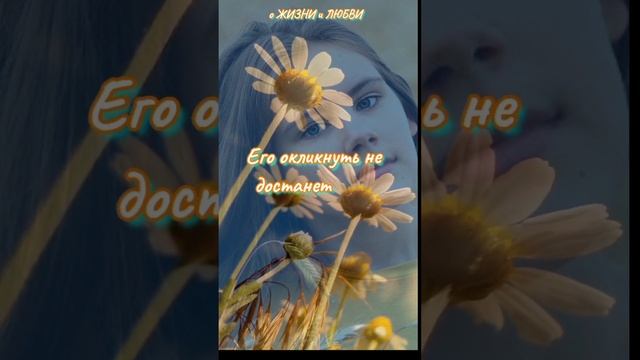 Самые лучшие стихи о любви. Пожелания девочкам от Льва Ошанина смотреть онлайн