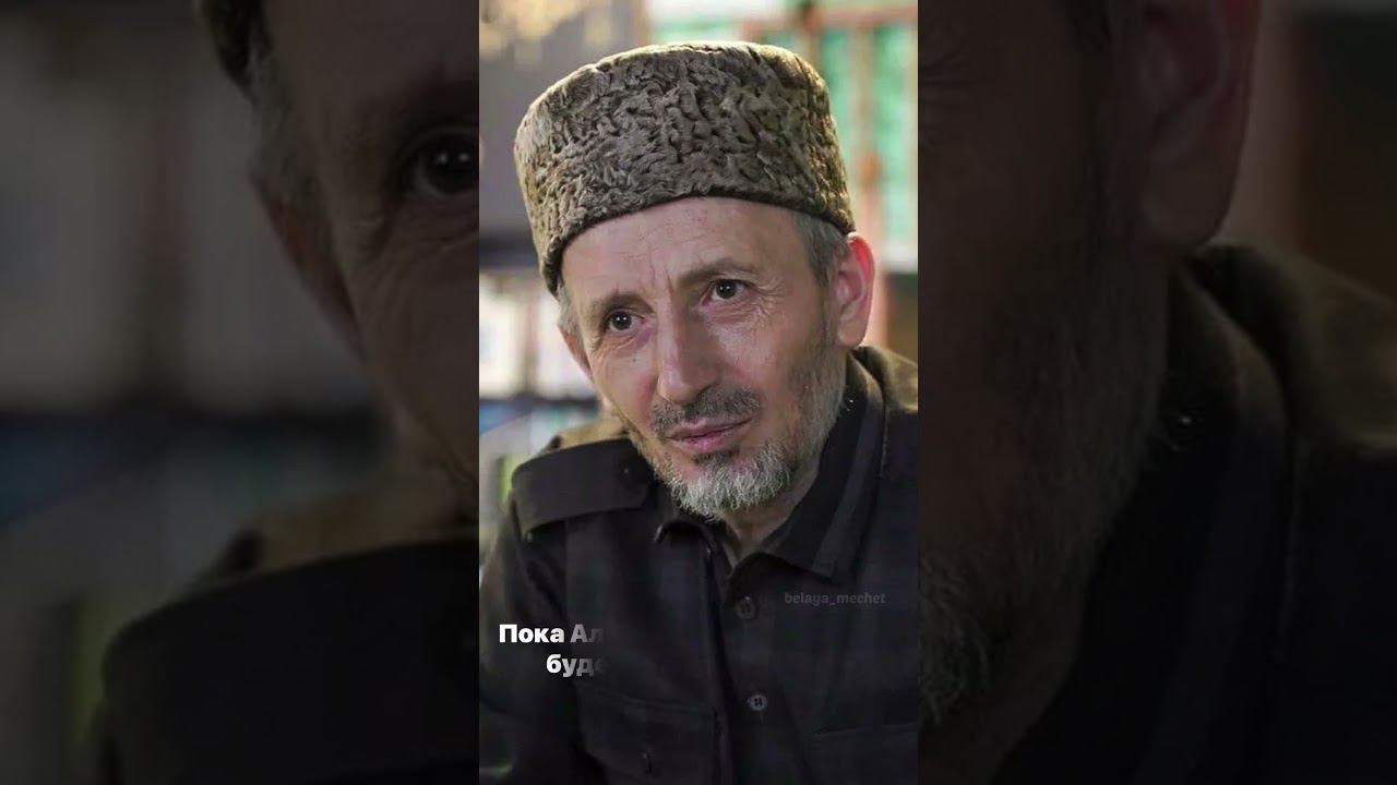 #Муфтий #шейх #ислам #муфтиятрд #муфтийрд #дагестан #религия #тасаввуф #тарикат #суфизм смотреть онлайн