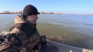 Рогожкино. Ноябрь