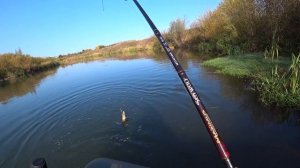 Осенняя рыбалка на лодках Хантер 345ЛКА и REEF 290 моторы YAMAHA 3 , SUZUKI 2 5, YAMAHA 5