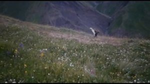 Кулинарное путешествие: настоящий хинкал. Цумадинский район село Кеди.