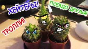 ХЕЙТЕРЫ | ТРОЛЛИ | ПСЕВДО ДРУЗЬЯ | НАКИПЕЛО