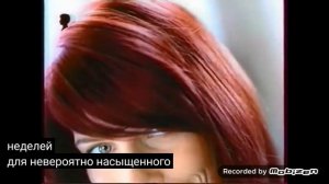 schwarzkopf palette 2005 реклама