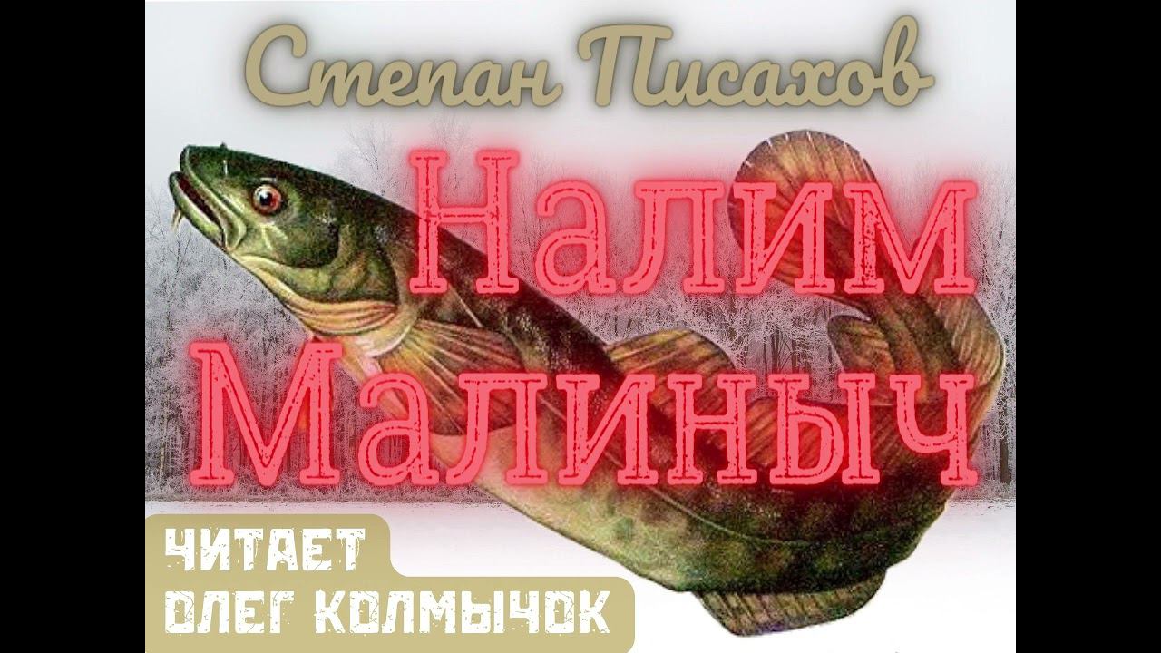 Степан Писахов – Налим Малиныч. Читает Олег Колмычок