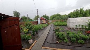 Гроза и ливень на нашем участке 7 июля 2024 года. Молния врезалась в столб неподалеку.