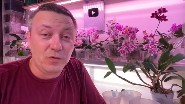 у ПАПЫ форс мажоры и болталка о МИТЬКЕ смотреть онлайн