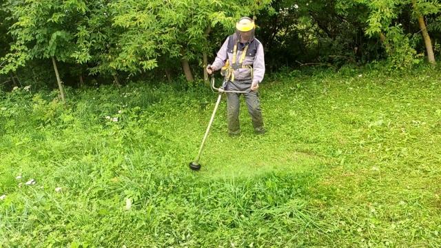 ??? Trimmer ??? смотреть онлайн