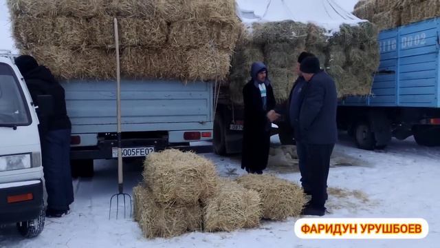МОЛБОЗОР ИСТАРАВШАН 9 ДЕКАБР 2022