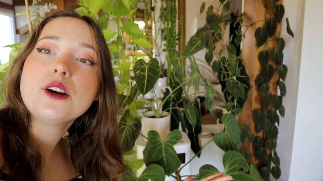 Plant Obsession || Houseplant Tour of a Crazy Plant Lady
