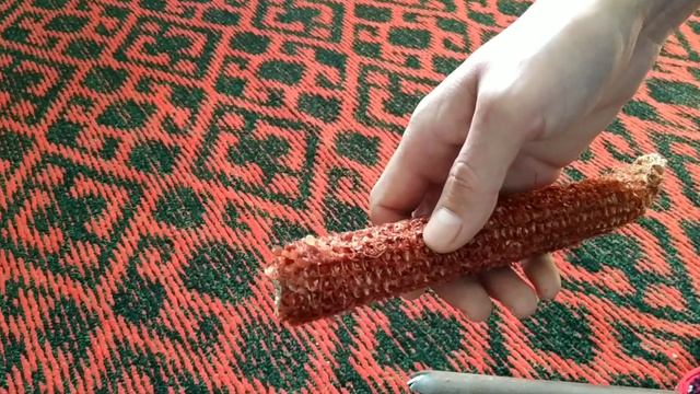 Очистка кукурузы от зёрен вручную. Ответы на вопросы смотреть онлайн