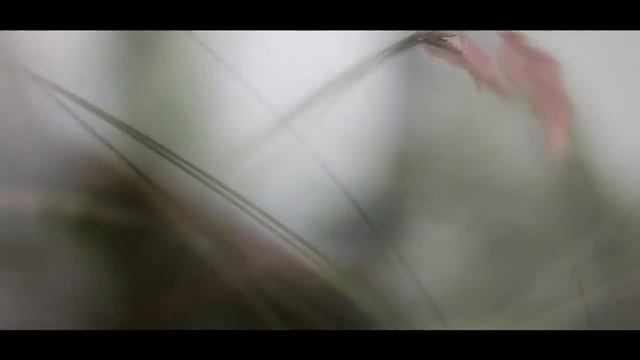 Canon EOS 1100D videotest - Magic Lantern 2.3 смотреть онлайн