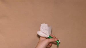 Как сделать цветы из бумажных салфеток своими руками