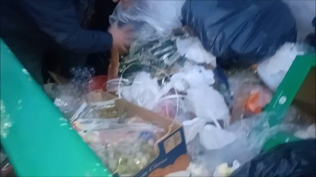 DUMPSTER DIVING FOR A MARVELOUS AND INSPIRING HAUL!