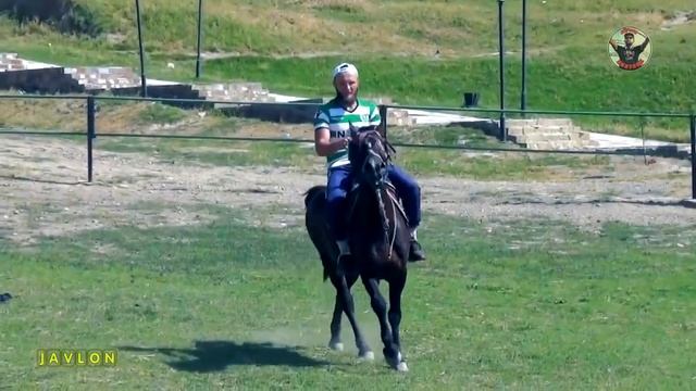 РУССКИЙ ТАДЖИК БОЕЦ ИЗ ТАДЖИКИСТАНА COMING SOON (Javlon) 2020 смотреть онлайн