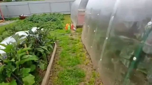 Заготовки. Наша любимая дача. смотреть онлайн