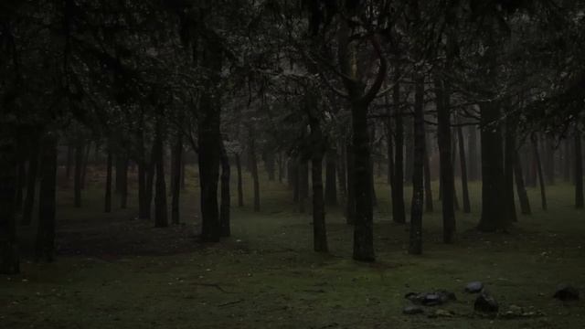 СБОРНИК СОВЕТОВ ПО САМОСПАСЕНИЮ