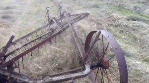 Raking hay with old "three-bar" International Harvester side rake. 7/31/15