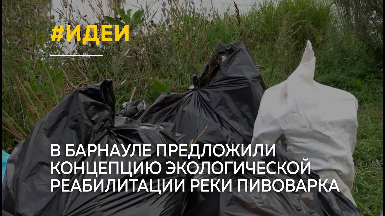 Концепцию экологической реабилитации реки Пивоварка предложили в Барнауле