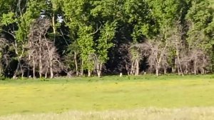 Сопка Авдошенко.😊