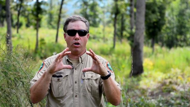 Kyker Bottoms Refuge Quail Management Part 6 - Savannah смотреть онлайн