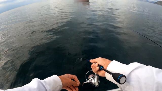 Платная рыбалка на Ставриду и Луфаря в  Судаке. Рыбалка в Крыму!
