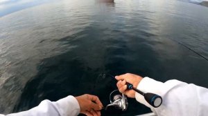Платная рыбалка на Ставриду и Луфаря в Судаке. Рыбалка в Крыму!